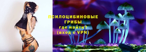 ПСИЛОЦИБИНОВЫЕ ГРИБЫ Алексеевка