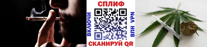 где можно купить   Любань  Бошки Шишки ГИДРОПОН 
